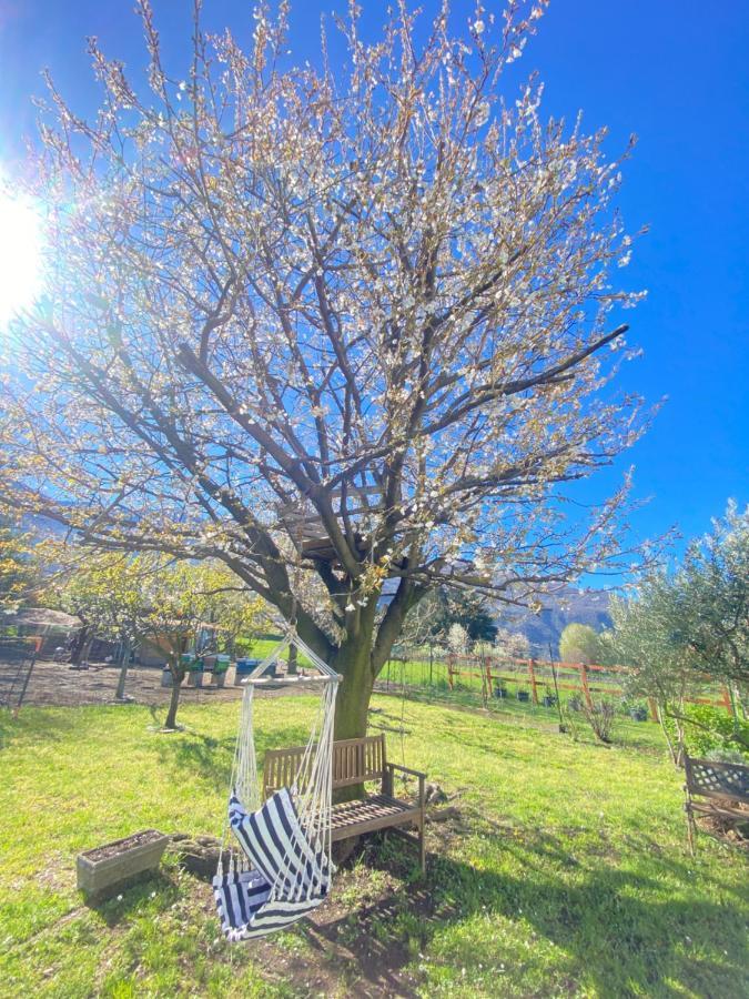 شقة Il Giardino Dei Ciliegi كوليكو المظهر الخارجي الصورة