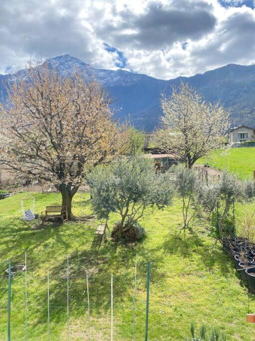 شقة Il Giardino Dei Ciliegi كوليكو المظهر الخارجي الصورة