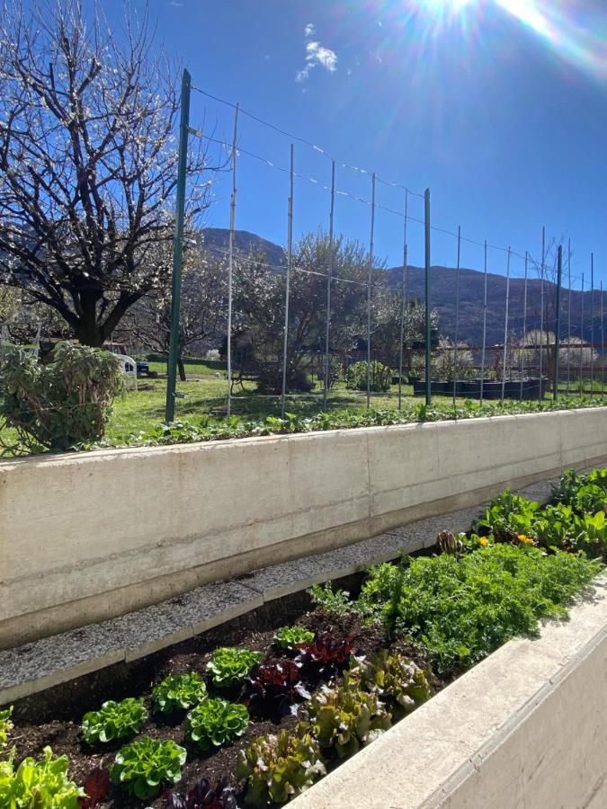 شقة Il Giardino Dei Ciliegi كوليكو المظهر الخارجي الصورة