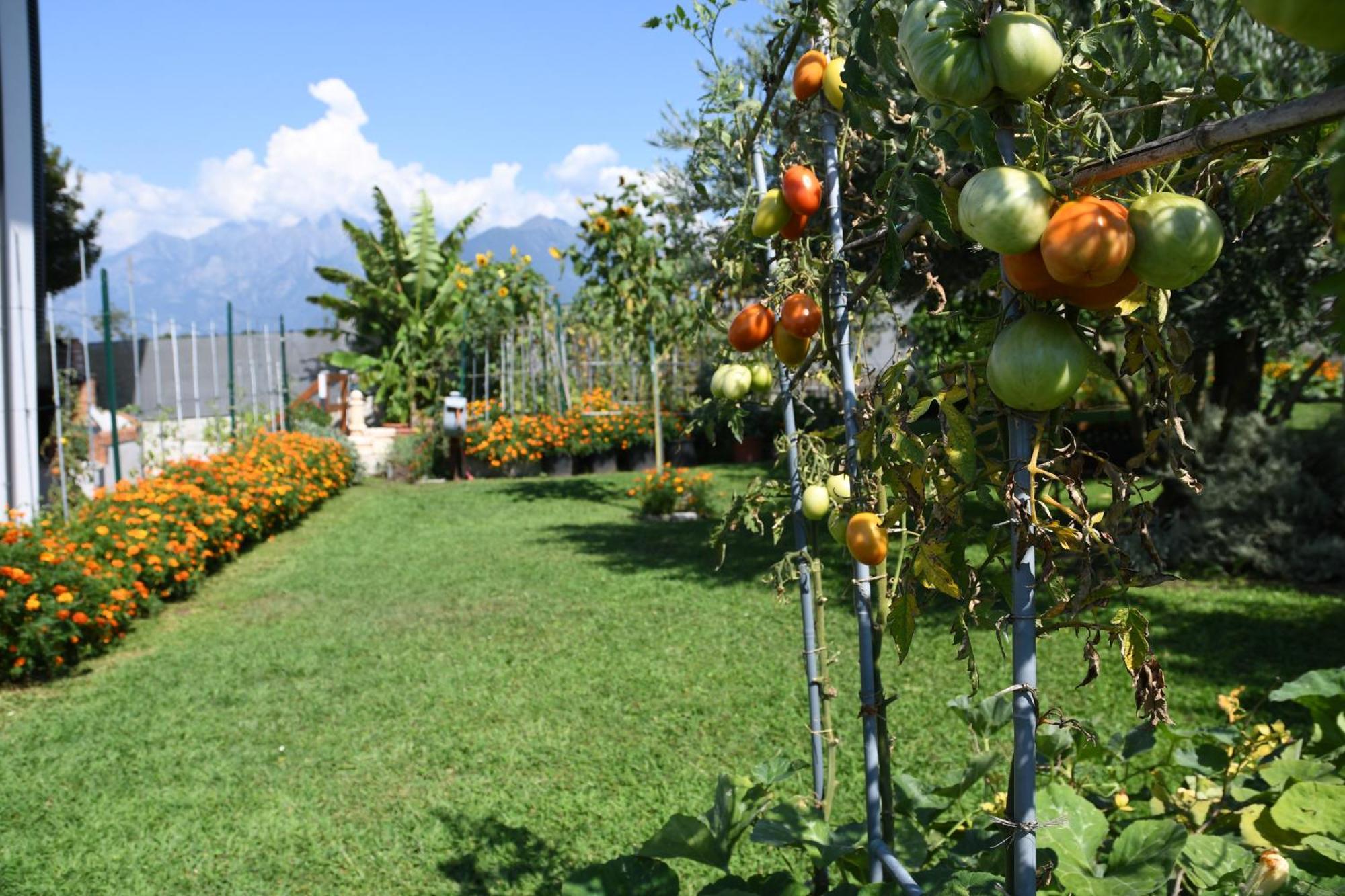 شقة Il Giardino Dei Ciliegi كوليكو المظهر الخارجي الصورة