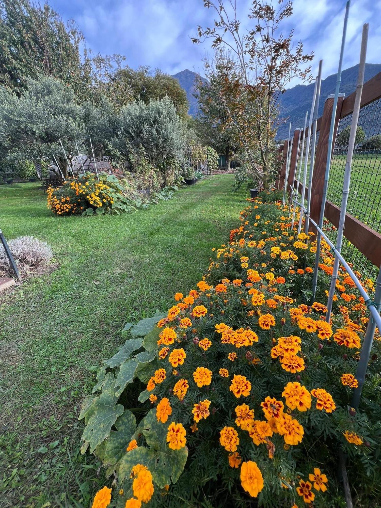 شقة Il Giardino Dei Ciliegi كوليكو المظهر الخارجي الصورة